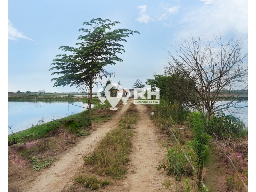 CAMARONERA DE 10 HECTÁREAS EN VENTA EN NARANJAL, GUAYAS #840 - 5
