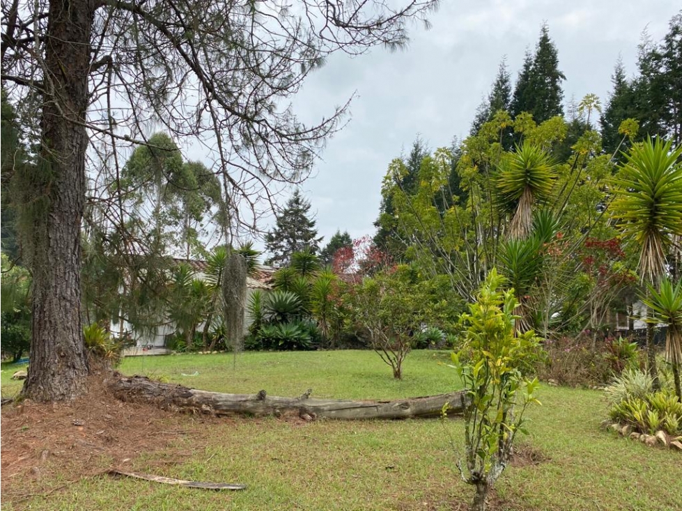 VENDO CASA FINCA CERCA DE LA SEDE DEL NACIONAL GUARNE — foto 5