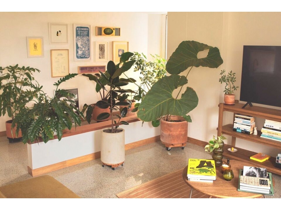 ARRIENDO APARTAMENTO CERCA DE LA MILLA DE ORO EL POBLADO — foto 2