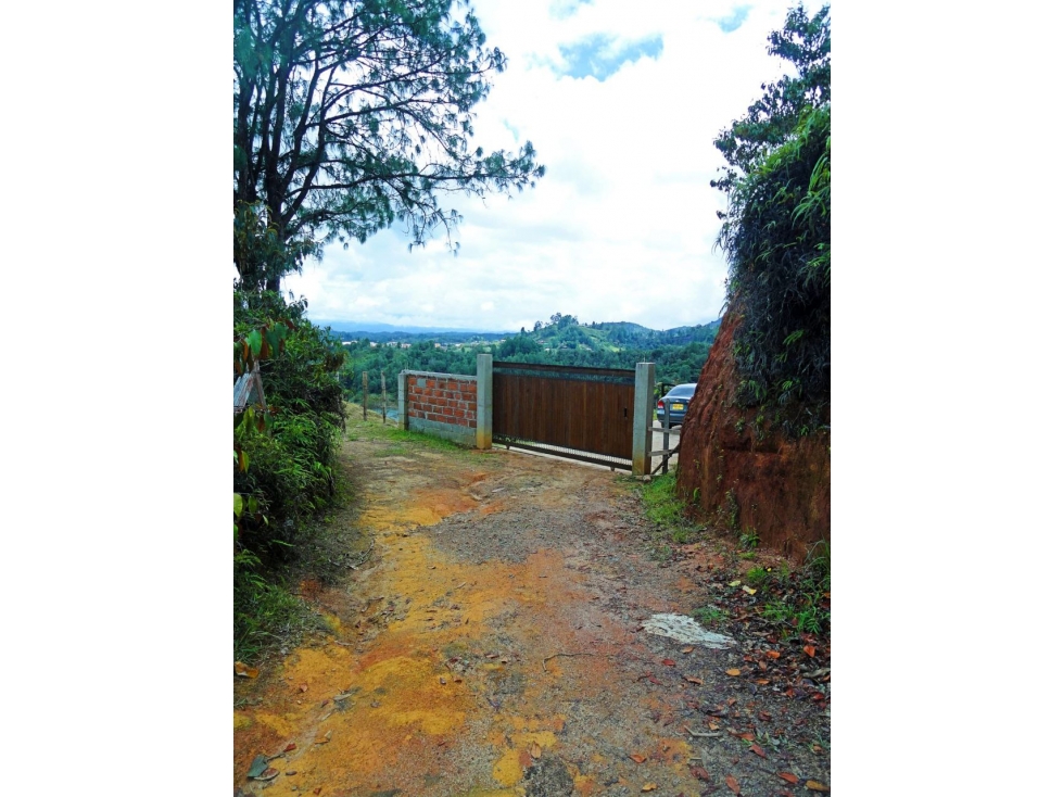 Vendo o permuto lote con represa cerca de la piedra del Peñol — foto 4