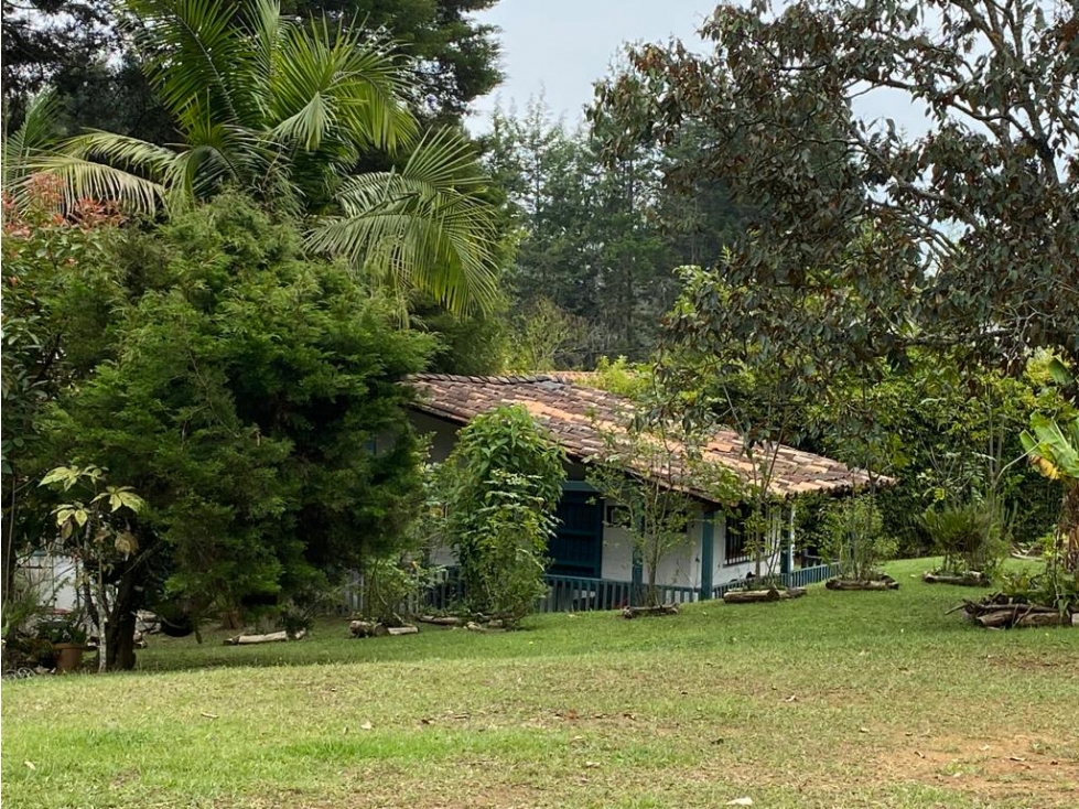VENDO CASA FINCA CERCA DE LA SEDE DEL NACIONAL GUARNE — foto 4