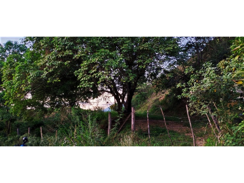 Vendo lote 4.021 m2 sobre vía Sopetran-santa fe de Antioquia — foto 4