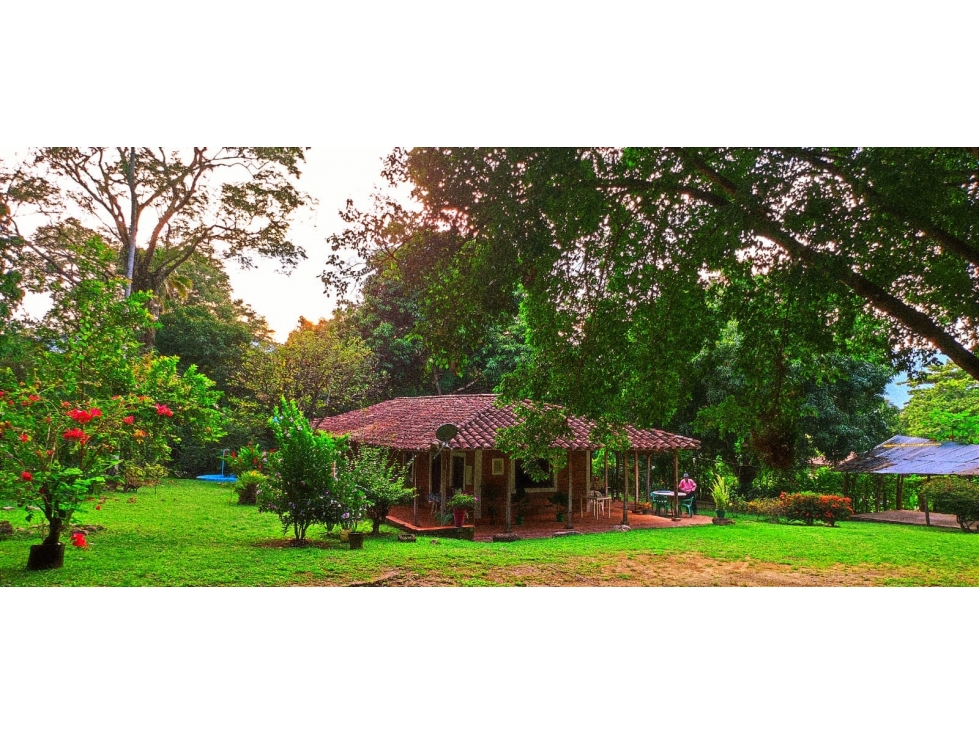 Vendo casa fonda Sopetran- santa fe de Antioquia 4.803 m2 — foto 2