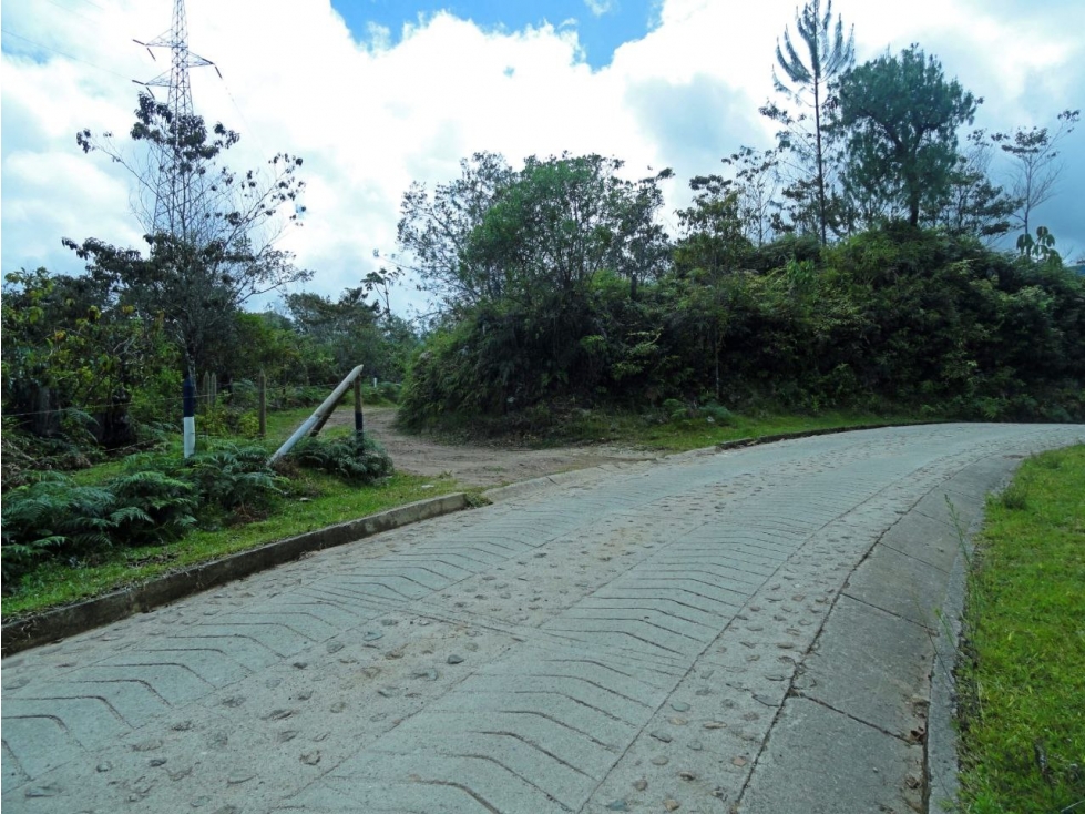 Vendo o permuto lote con represa cerca de la piedra del Peñol — foto 5