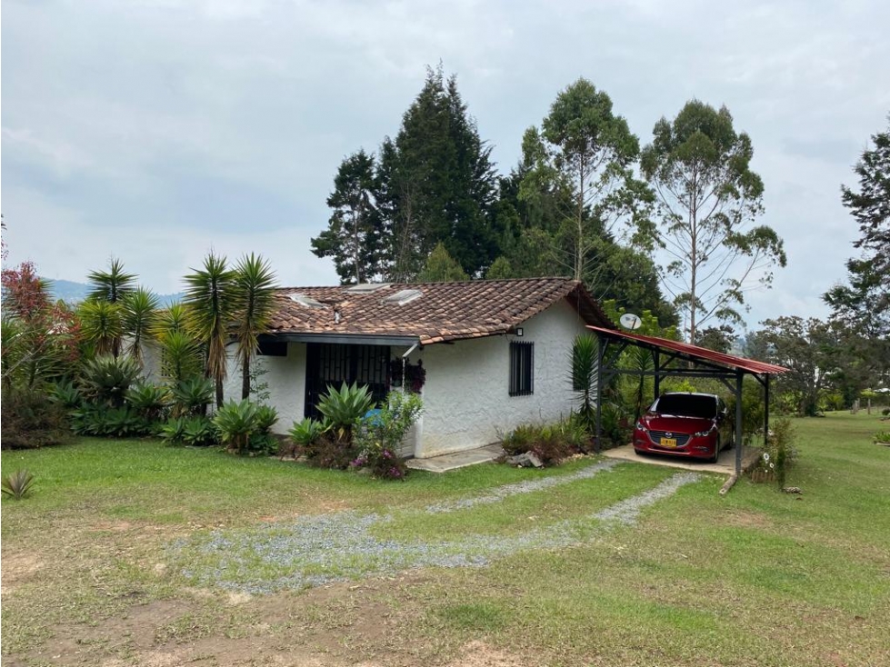 VENDO CASA FINCA CERCA DE LA SEDE DEL NACIONAL GUARNE — foto 3