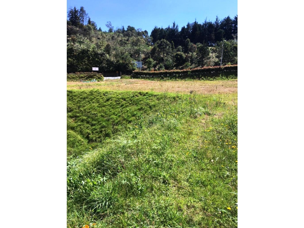 Vendo lote en vereda Yarumal de Rionegro Antioquia a eje de vía — foto 3