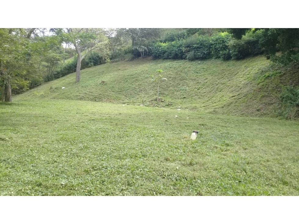 Venta de lote en Santa Fe de Antioquia unidad cerrada — foto 6