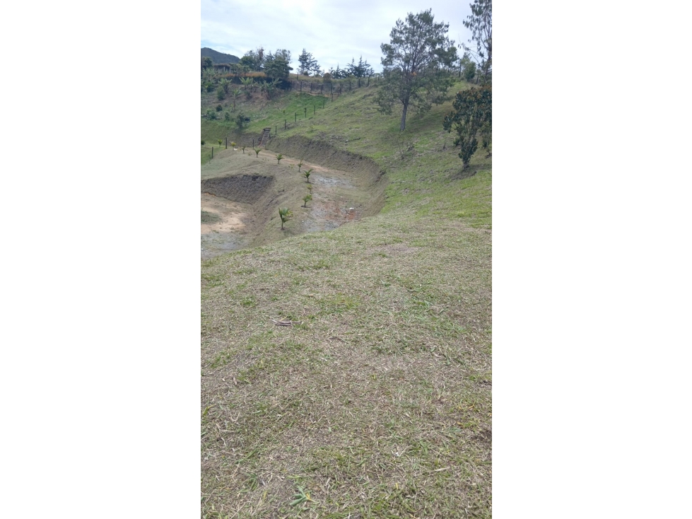 VENDO LOTE EN EL ORIENTE ANTIOQUEÑO 3.000 M2 EN SAN VICENTE ANT — foto 3