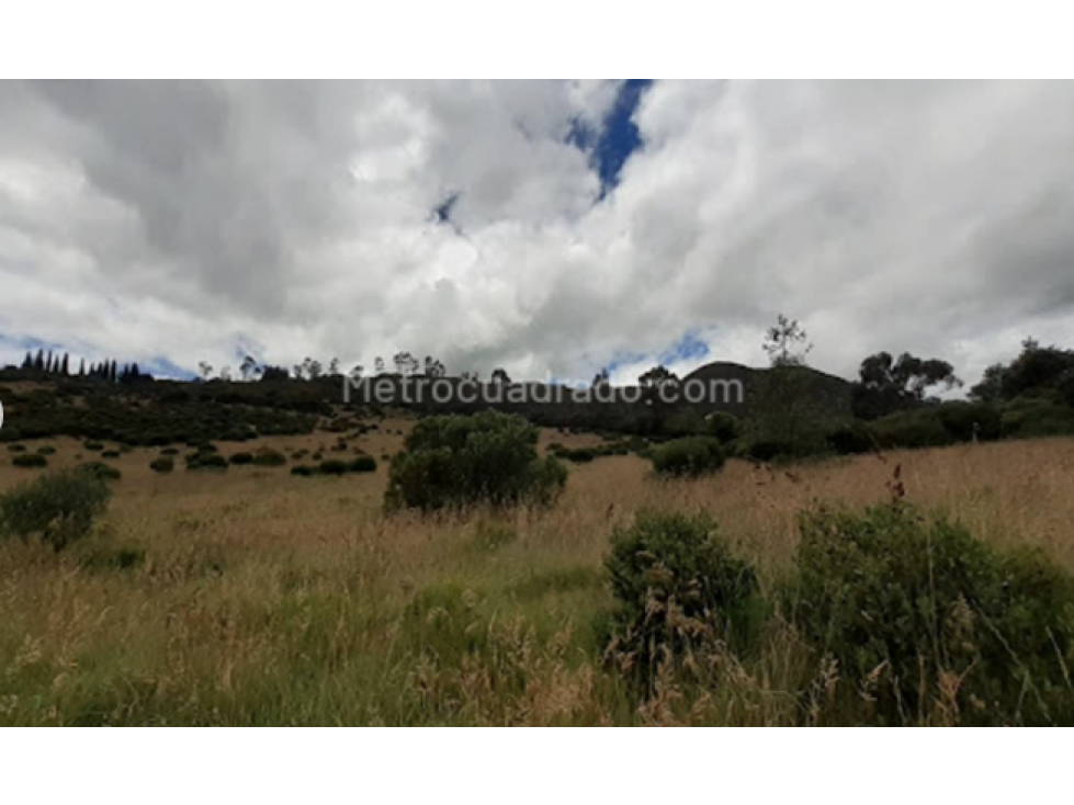 YERBABUENA - SOPÓ VENDEMOS LOTE - 2