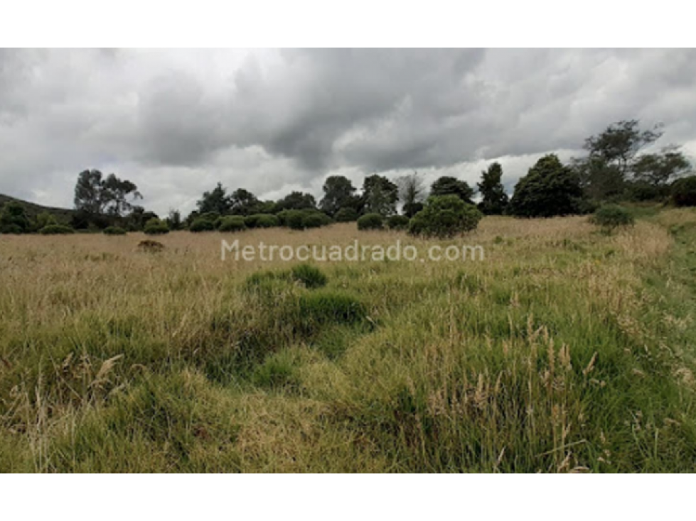 YERBABUENA - SOPÓ VENDEMOS LOTE - 1