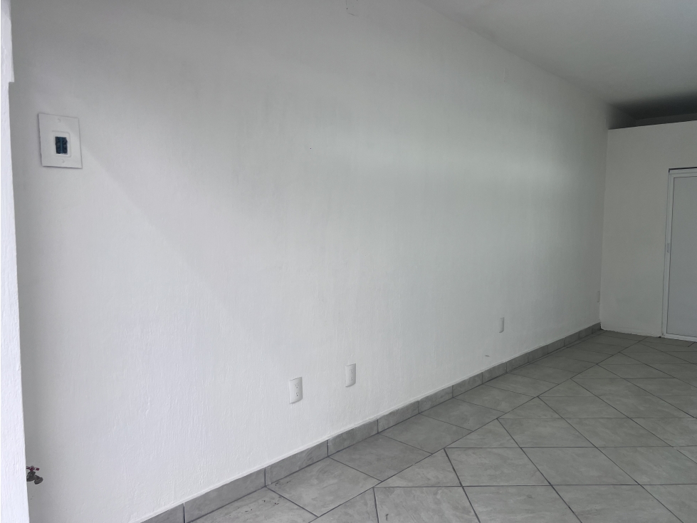 Local Comercial Renta Francisco Madero Chapala - 6