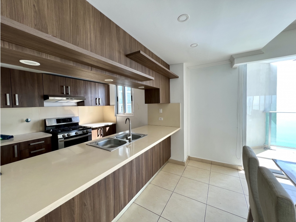 PH OASIS ON THE BAY - PUNTA PACIFICA - VENTA — foto 5