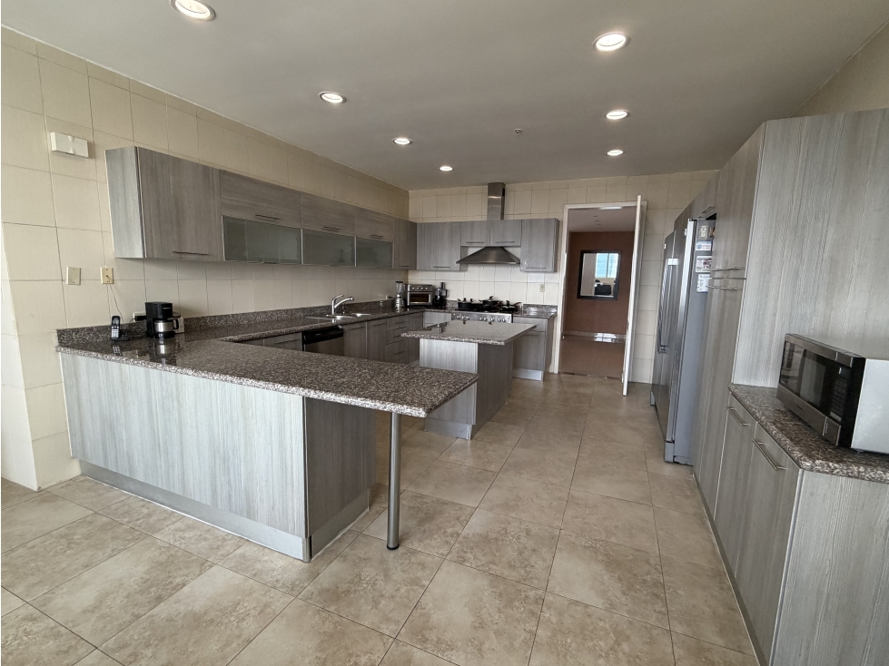 PH ZEUS - COSTA DEL ESTE - VENTA Y ALQUILER — foto 4