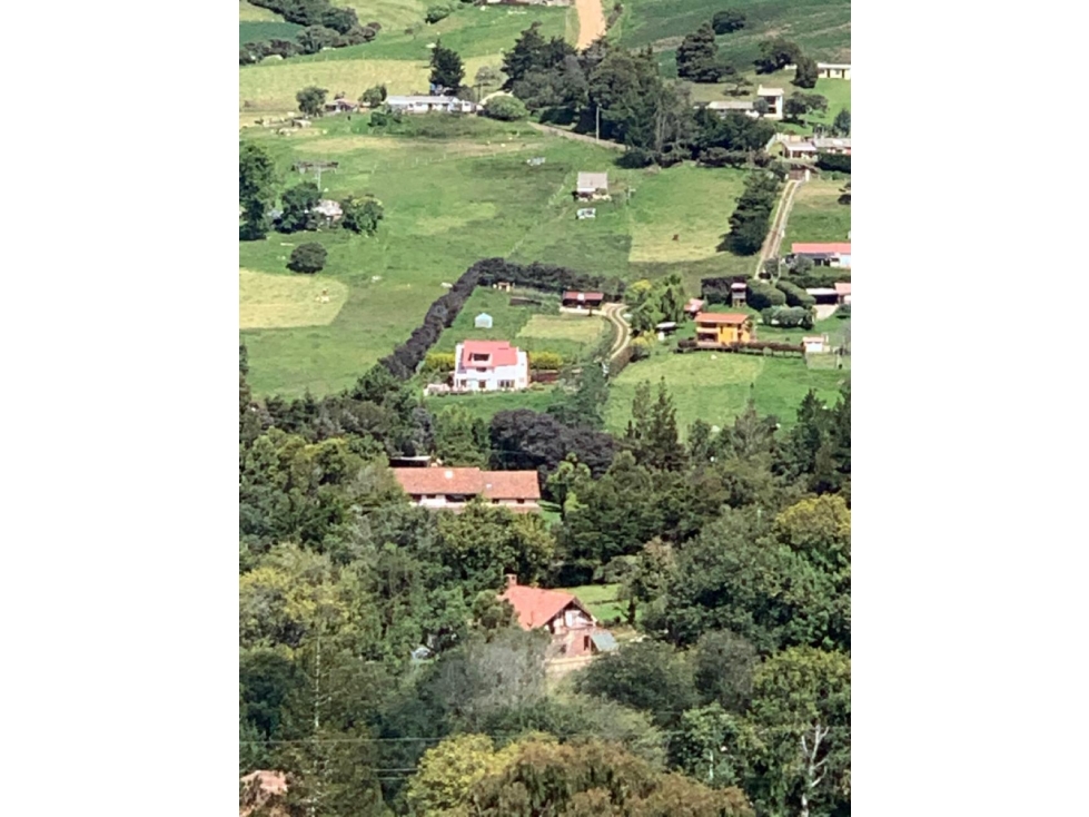 SE VENDE O SE ARRIENDA HERMOSA FINCA AMOBLADA EN LA CALERA /P - 3