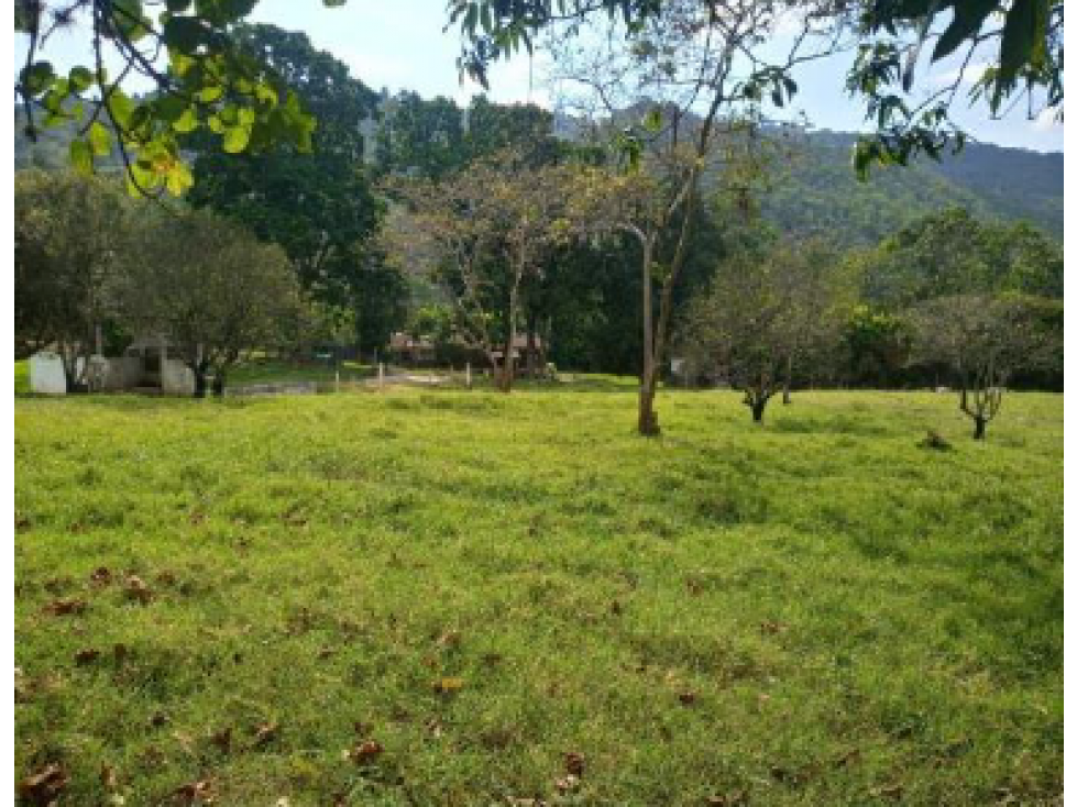 SE VENDE HERMOSO LOTE EN SANTANDER. A - 3