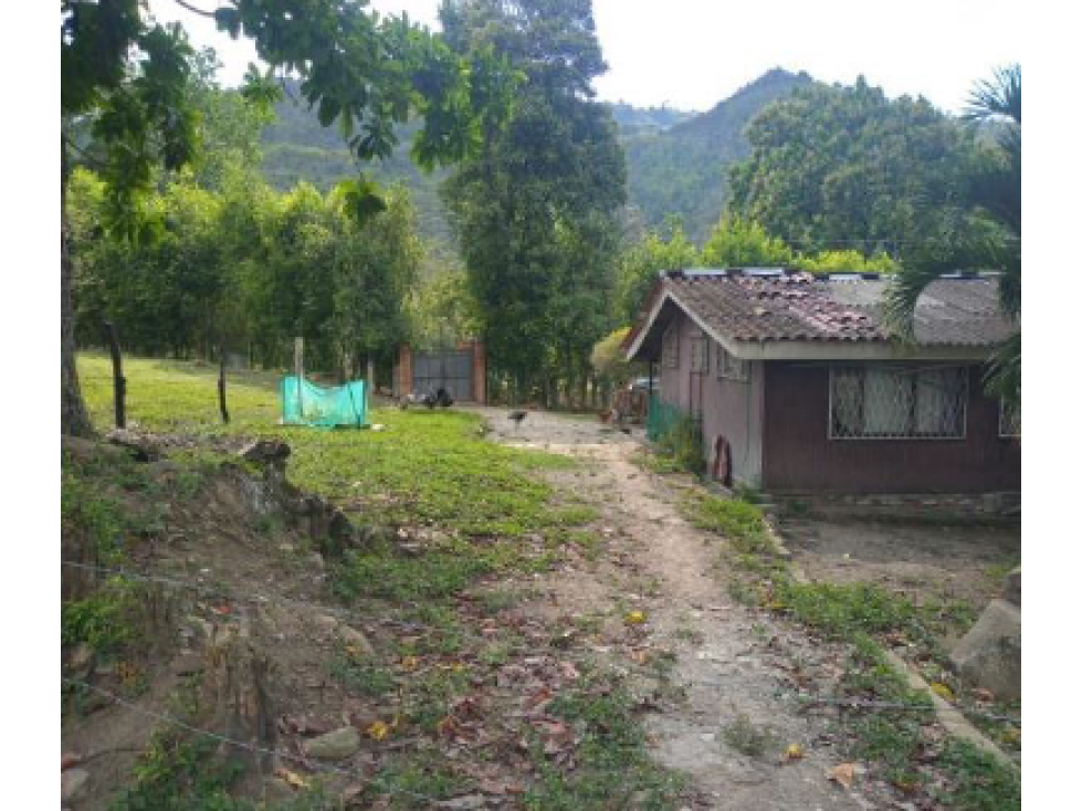 SE VENDE HERMOSO LOTE EN SANTANDER. A - 4