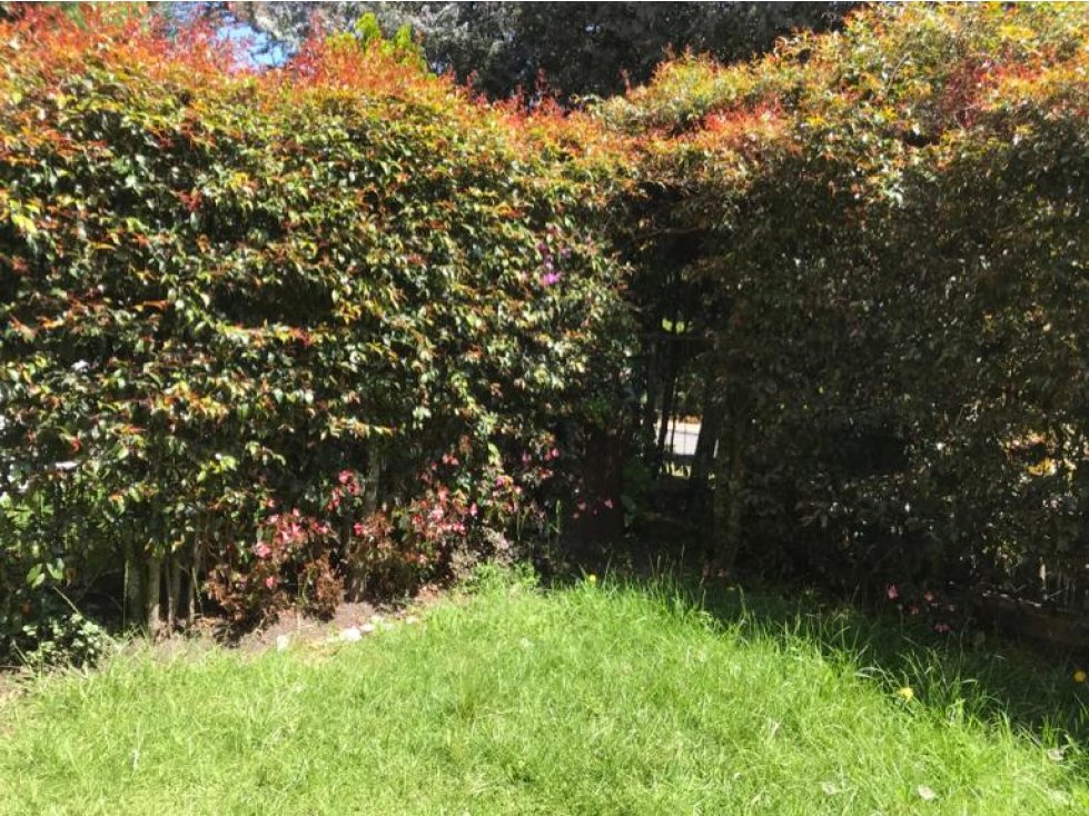 SE VENDE CASA EN CASA BLANCA.P - 6