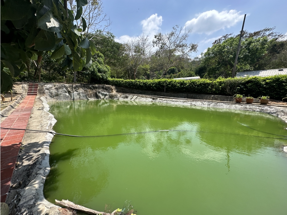 Finca en Venta en Minca, Santa Marta: 30 Hectáreas, La Tigrera