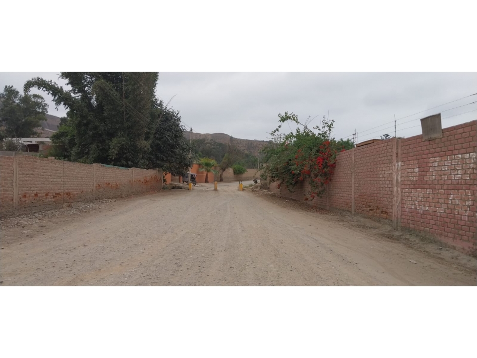 VENTA DE TERRENO EN PACHACAMAC - 5