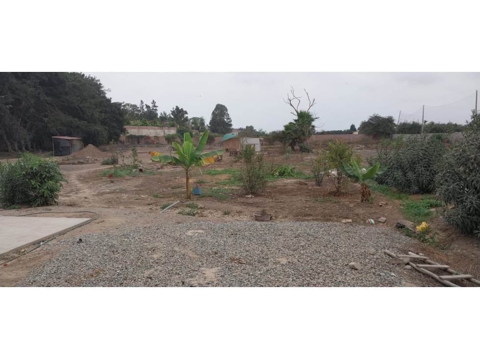 VENTA DE TERRENO EN PACHACAMAC - 6