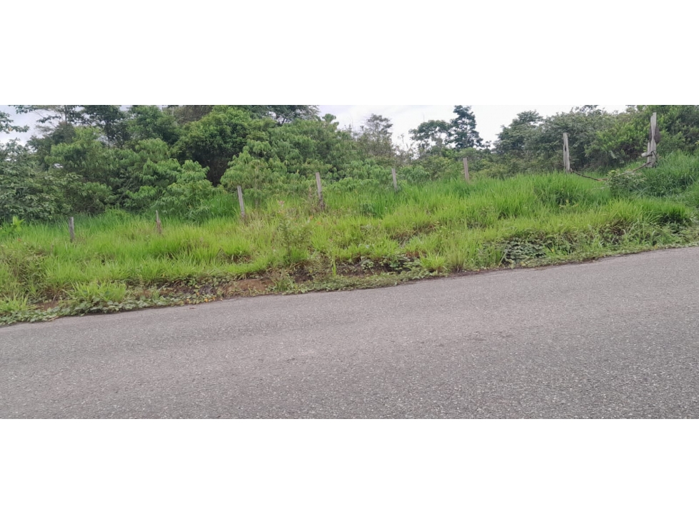 Venta de Terreno en Contamana- 48Has - 4