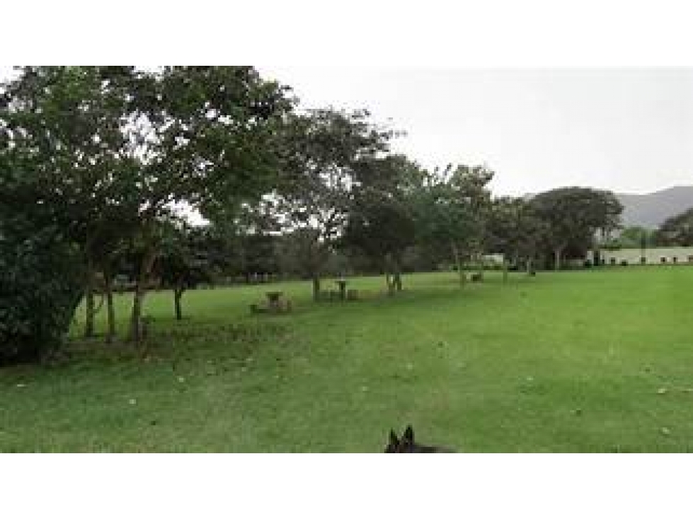 VENTA DE TERRENO EN PACHACAMAC - 4