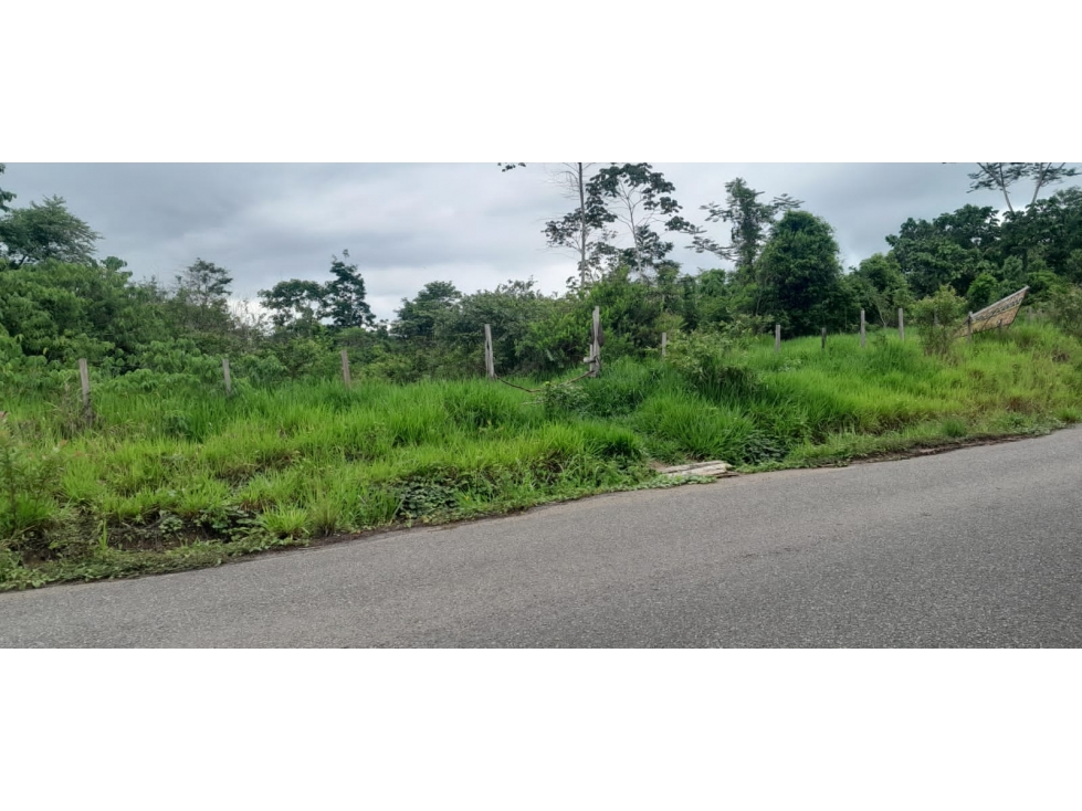Venta de Terreno en Contamana- 48Has - 5