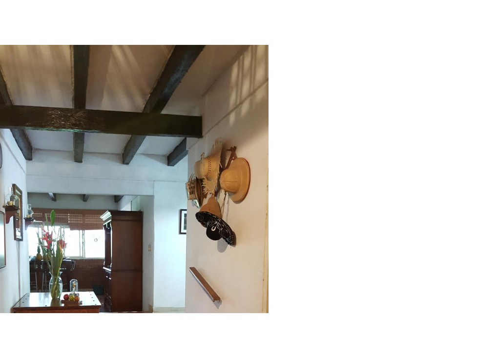 VENTA FINCA EL CARMEN VALLE DEL CAUCA — foto 5