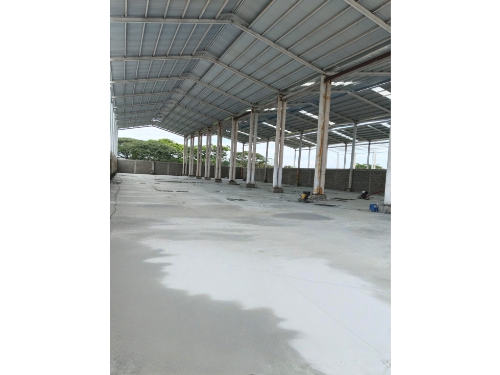 ARRIENDO BODEGAS PARQUE INDUSTRIAL PALMASECA - 4