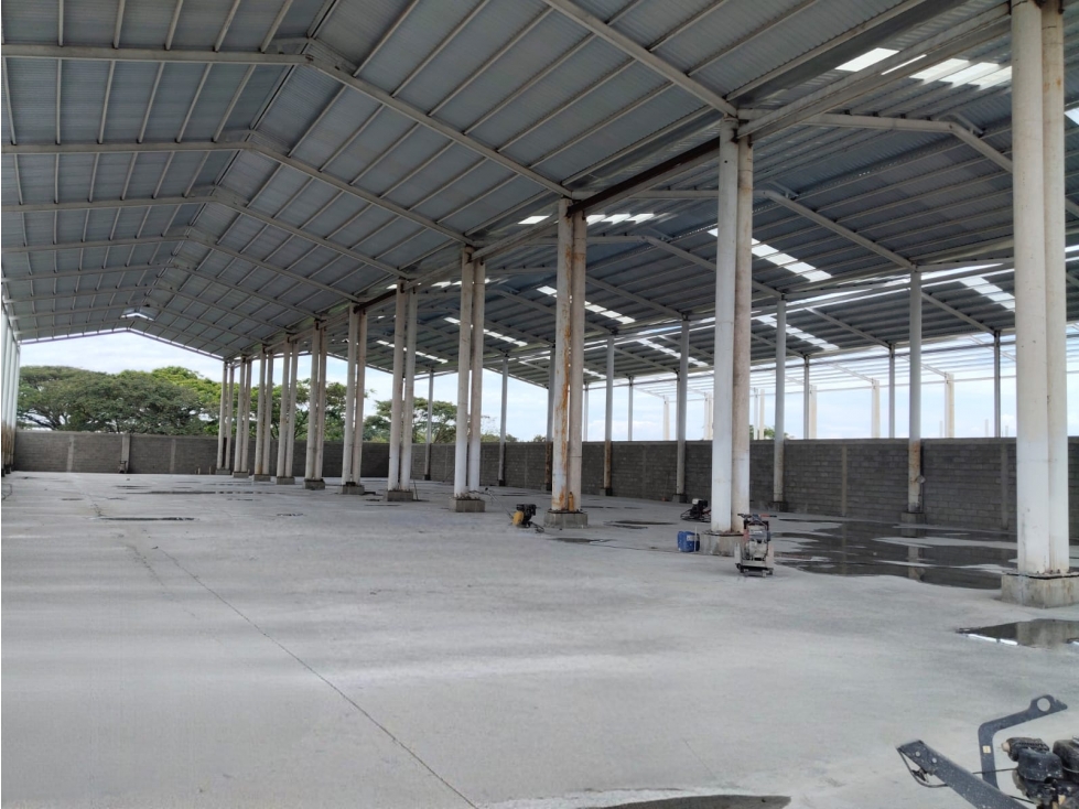 ARRIENDO BODEGAS PARQUE INDUSTRIAL PALMASECA - 5