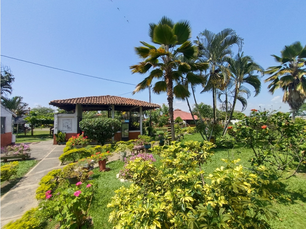 VENTA FINCA DE RECREO CAMPESTRE VILLA RICA CAUCA - 6