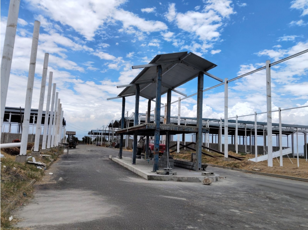 VENTA BODEGAS PARQUE INDUSTRIAL PALMASECA — foto 6