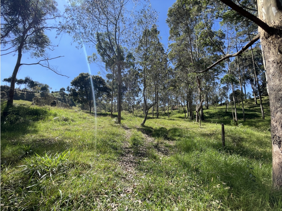 Lote en venta sobre la autopista Medellín - Bogotá, Guarne — foto 2