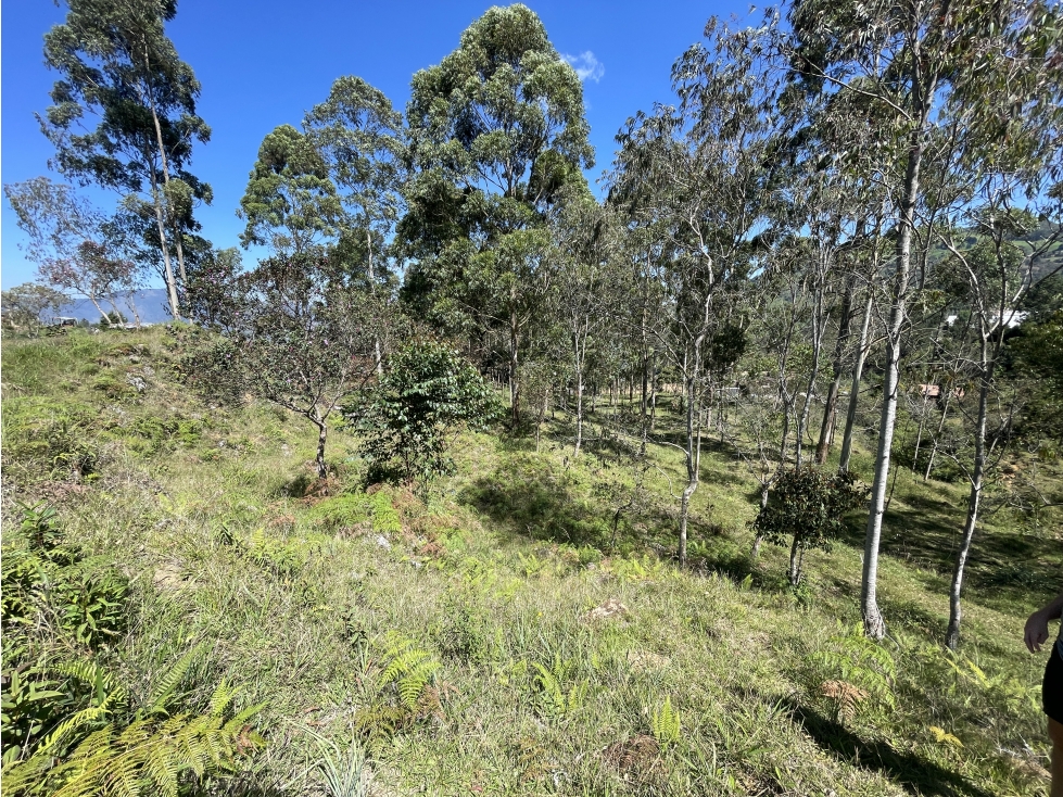 Lote en venta sobre la autopista Medellín - Bogotá, Guarne — foto 6