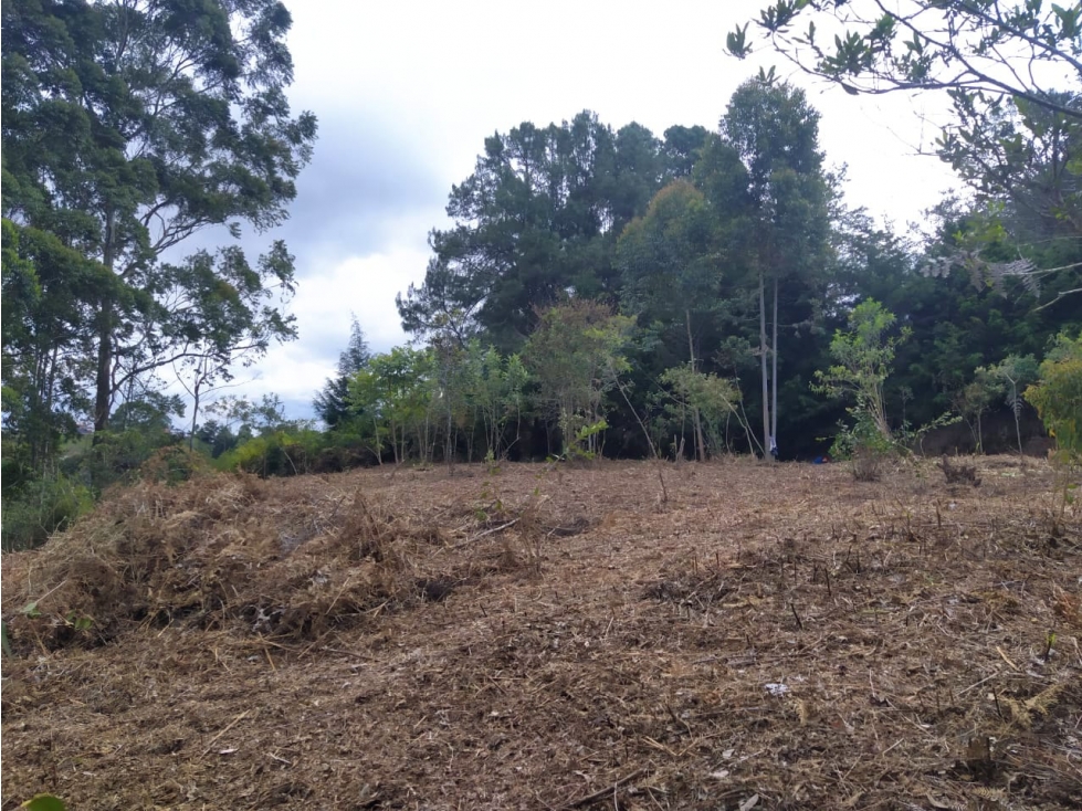 Venta de lote en Vereda Los Pinos - Rionegro