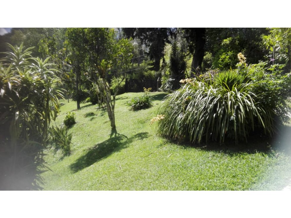 Venta de Casa Lote Independiente El Tesoro - Medellín — foto 6