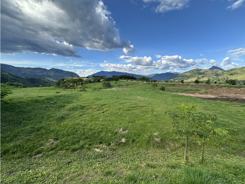 Venta de lote en parcelación en Bolombolo - Venecia - 4
