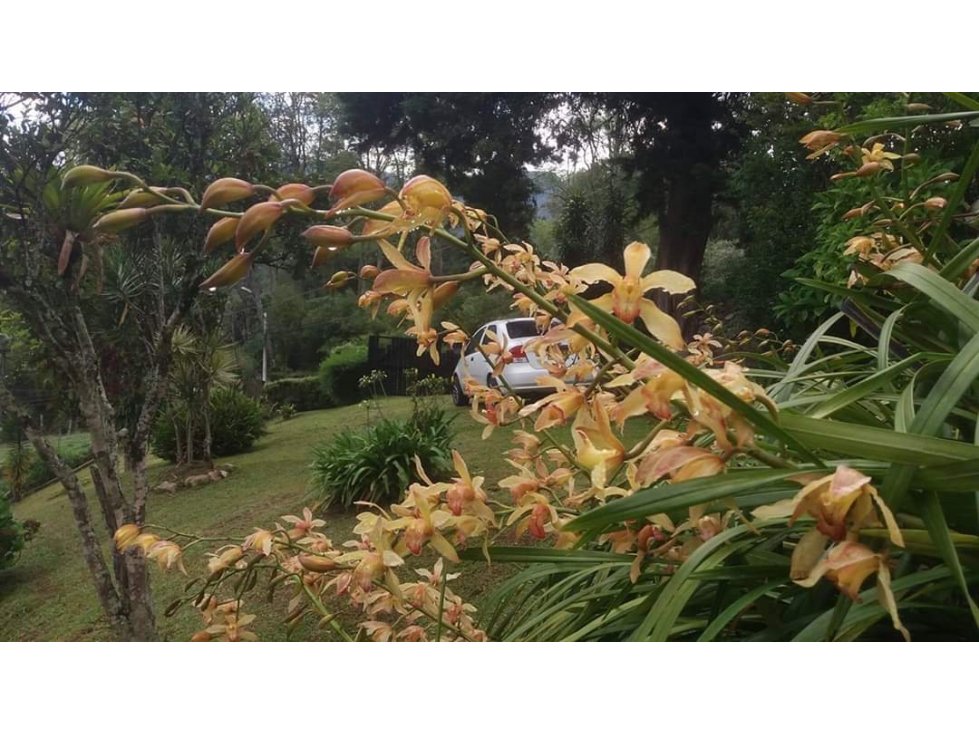 Venta de Casa Lote Independiente El Tesoro - Medellín — foto 4