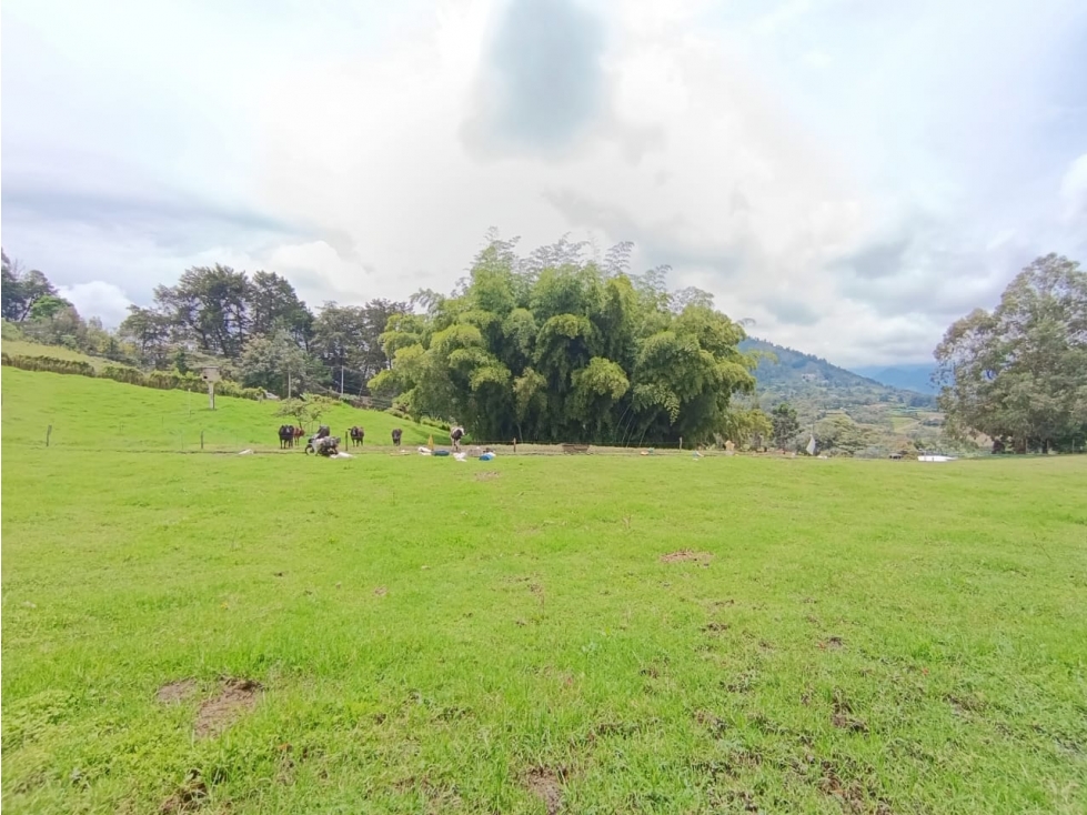 Venta de lote en Vereda San Nicolas - La Ceja