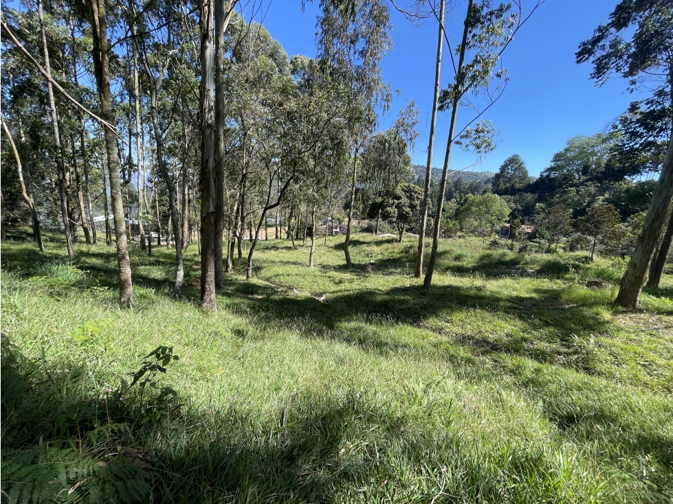 Lote en venta sobre la autopista Medellín - Bogotá, Guarne