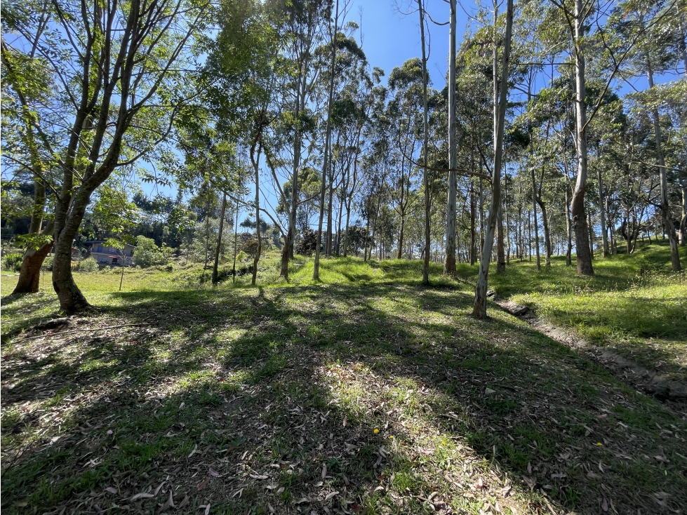 Lote en venta sobre la autopista Medellín - Bogotá, Guarne — foto 3