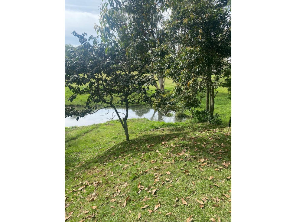 Arriendo Cabaña en Rionegro - Antioquia — foto 2