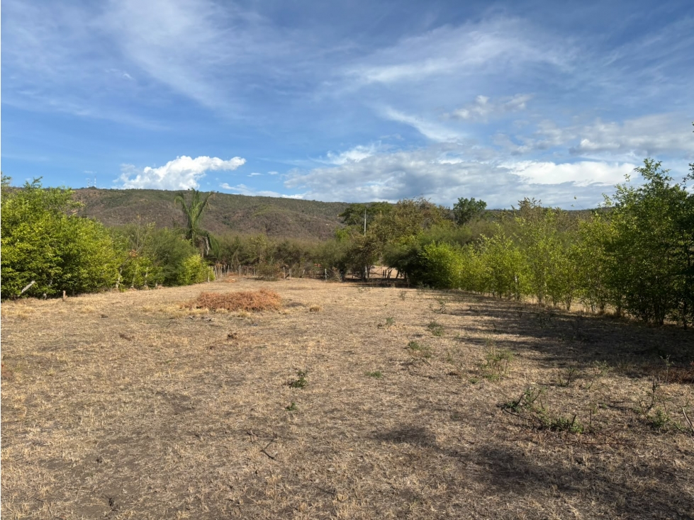 SE VENDE LOTE EN LA VEREDA LLANO DEL POZO EN RICAURTE. - 5