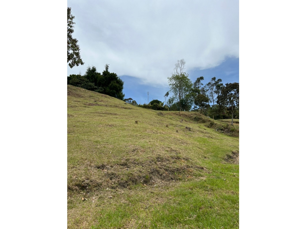 LOTE — foto 2