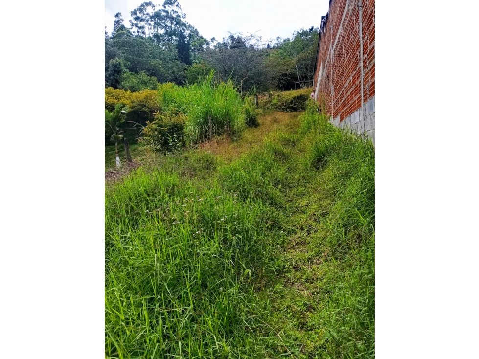 Lote en sector la Mulona, Guarne — foto 3