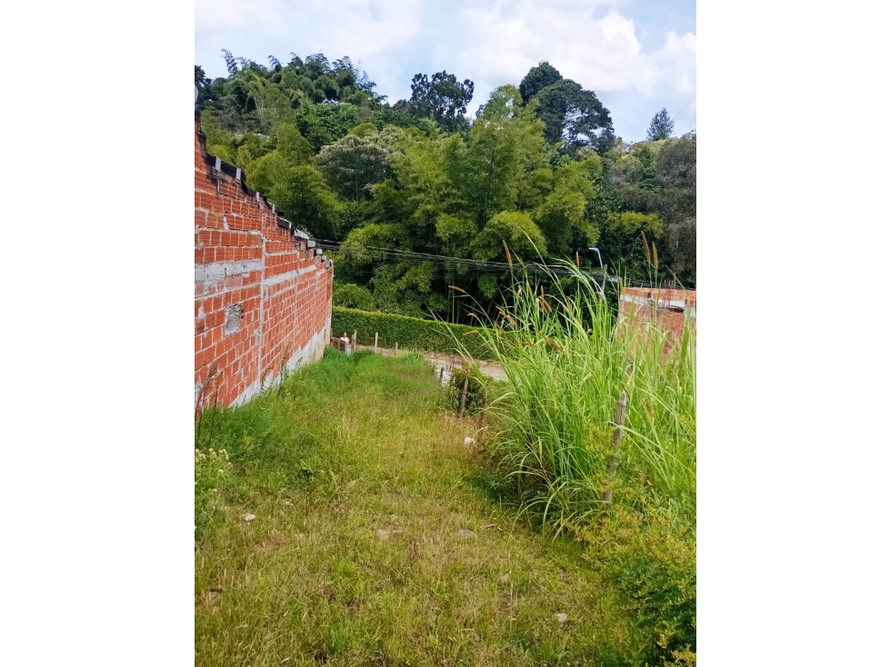 Lote en sector la Mulona, Guarne — foto 4