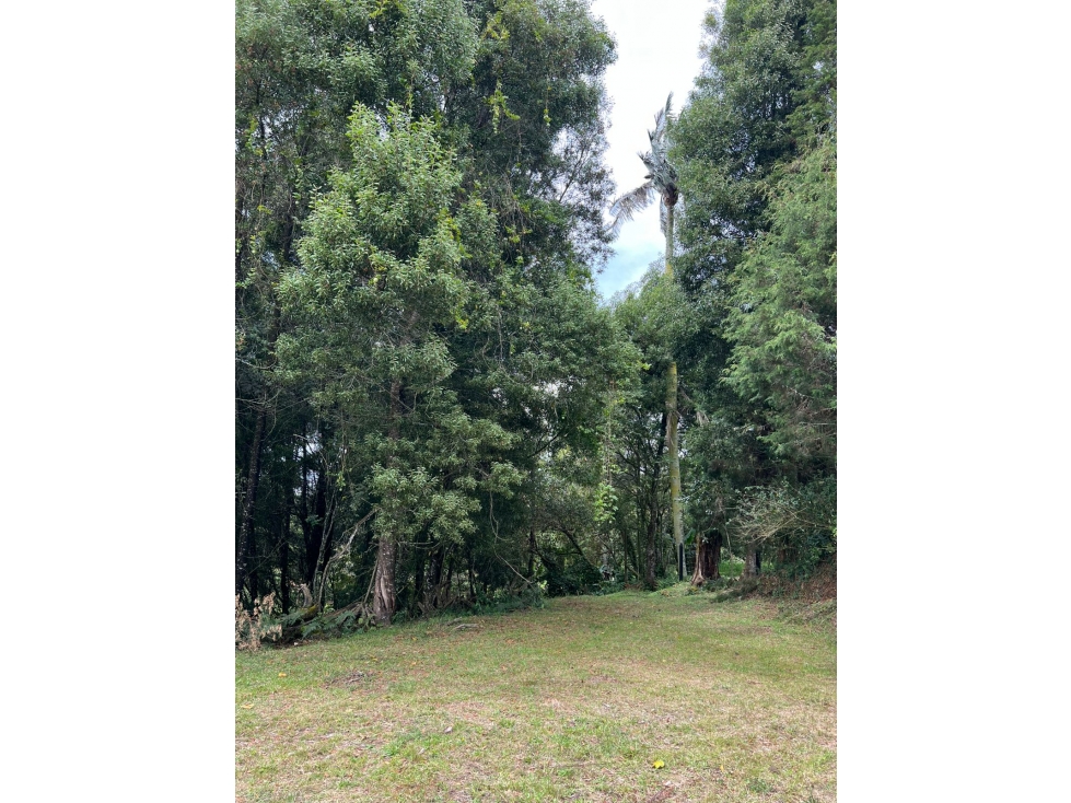 LOTE — foto 4