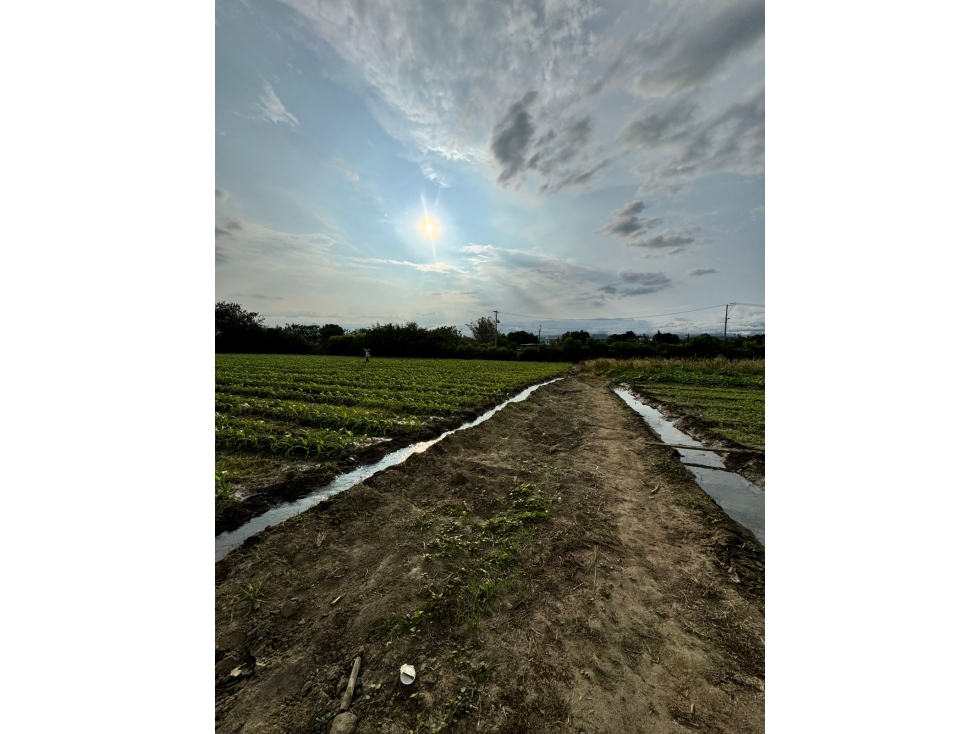 Se vende lote excelente ubicación / Rozo — foto 4