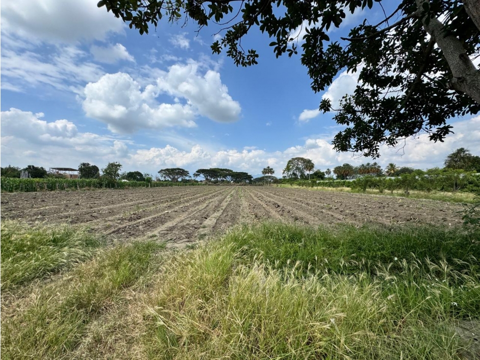 Lote en venta La Reforma/ Rozo - 3