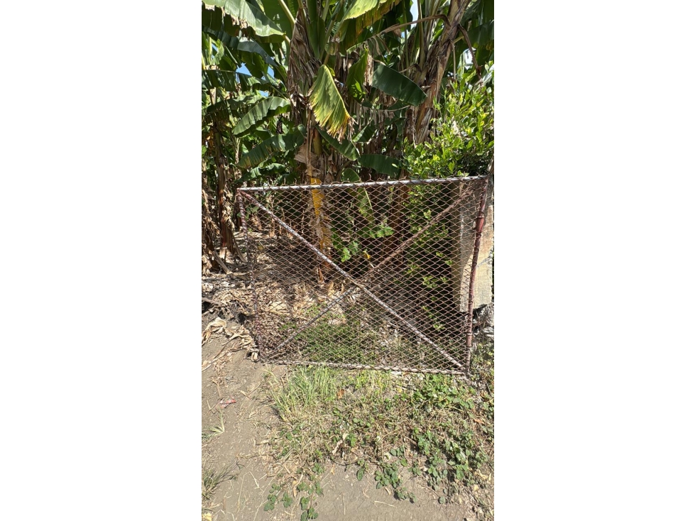 Lote en venta La Reforma/ Rozo - 2